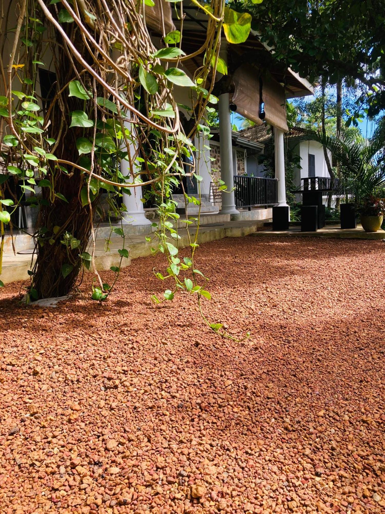 Wija House - Unawatuna Exteriör bild