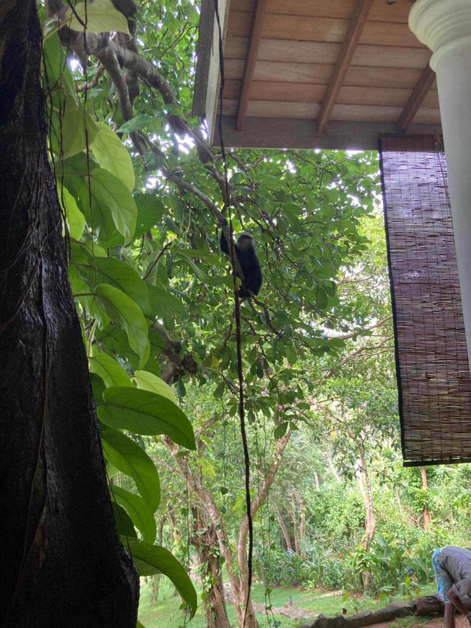 Wija House - Unawatuna Exteriör bild